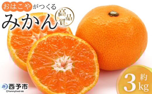 <おはこやがつくる 高品質みかん 約3kg(S〜Lサイズ)> 果物 フルーツ 柑橘 ミカン 蜜柑 特産品 西宇和 愛媛県 西予市 【常温】愛媛県西予市7000果物・フルーツみかん・柑橘類