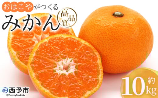 <おはこやがつくる 高品質みかん 約10kg(S〜Lサイズ)> 果物 フルーツ 柑橘 ミカン 蜜柑 特産品 西宇和 愛媛県 西予市 【常温】愛媛県西予市19000果物・フルーツみかん・柑橘類