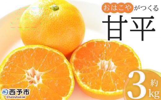 <おはこやがつくる 甘平 約3kg(L〜3Lサイズ)> 果物 フルーツ 柑橘 カンペイ みかん ミカン 蜜柑 特産品 西宇和 愛媛県 西予市 【常温】愛媛県西予市12000果物・フルーツみかん・柑橘類