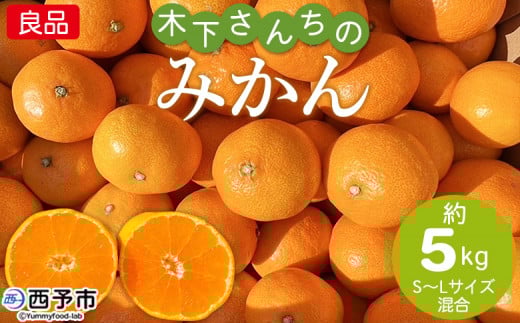 <木下さんちのみかん 良品 約5kg(S〜Lサイズ混合)>柑橘類 温州みかん ミカン 果物 くだもの フルーツ 特産品 木下農園 西宇和 愛媛県 西予市【常温】『2025年11月中旬から12月下旬に順次