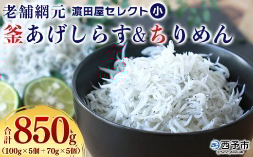 <老舗網元 濱田屋セレクト 釜あげしらす (合計850g)> 釜揚げ シラス じゃこ 海鮮 海産物 丼 おにぎり 具材 ご飯 おつまみ おやつ 小魚 乾物 国産 マルヨシ水産 特産品 愛媛県 西予市【冷凍】