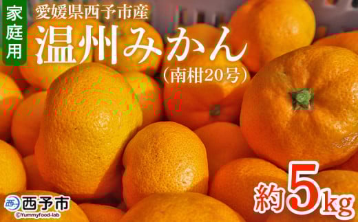 先行予約 <愛媛県西予市産 温州みかん(南柑20号)家庭用 約5kg(サイズ不揃い・小傷あり)> 訳あり  果物 くだもの ミカン 柑橘 フルーツ 食べて応援 特産品 段畑みかん 愛媛県 西予市【
