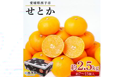 <せとか 約2.5kg(約7〜15個入)> 果物 フルーツ くだもの みかん ミカン 蜜柑 セトカ オレンジ 柑橘類 甘い 食べて応援 贈答用 ギフト プレゼント 贈り物 期間限定 数量限定 旬 特産品 愛媛