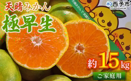 <天晴みかん 極早生 ご家庭用 約15kg> 柑橘 果物 フルーツ オレンジ 期間限定 季節限定 食べて応援 特産品 温州みかん 家庭用 のし対応可 ジャム サラダ 愛媛県 西予市【常温】愛媛県西予