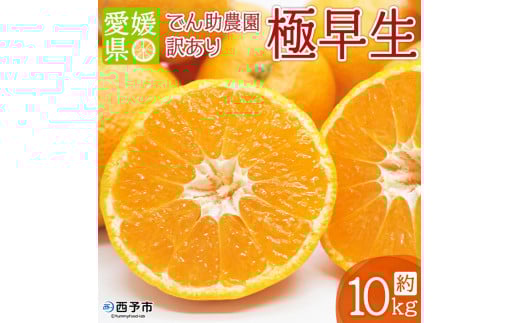 でん助農園の温州みかん(極早生) 訳あり 10kg愛媛県西予市10000果物・フルーツみかん・柑橘類