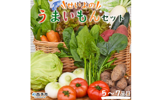 ̂܂ZbgiT`ViځjQ\s6000؁Ê̑ 