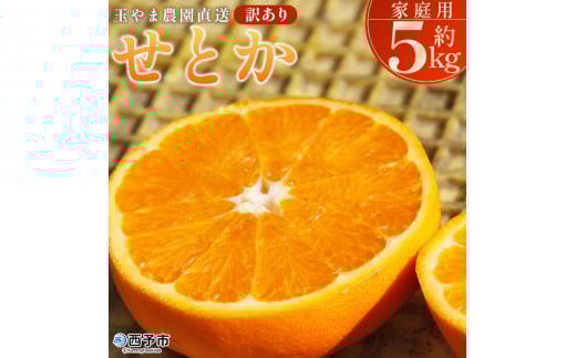 <【訳あり】 玉やま農園直送 せとか 家庭用 約5kg > 数量限定 期間限定 5キロ みかん ミカン 蜜柑 柑橘類 フルーツ 果物 果実 くだもの 特産品 甘い ジューシー 旬 ご自宅用 訳アリ 愛媛県