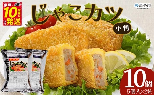 おがた蒲鉾 じゃこカツ小判(未加熱)5個入り×2袋愛媛県西予市18000魚介・海産物その他 魚介・海産物