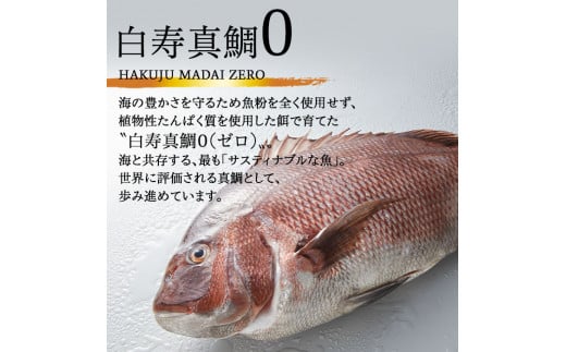 ^O([)×n齁@i낸j??Q\s18000ECY̑ ECY