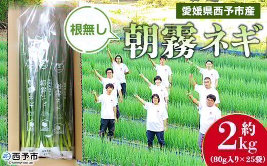 <愛媛県西予市産 朝霧ネギ 約2kg(80g入り×25袋)> 根無し 西予市産 愛媛県産 国産 野菜 やさい 青葱 青ネギ 青ねぎ 葉ネギ 葱 ねぎ 特産品 株式会社ノムランド 愛媛県 西予市【冷蔵】『1か