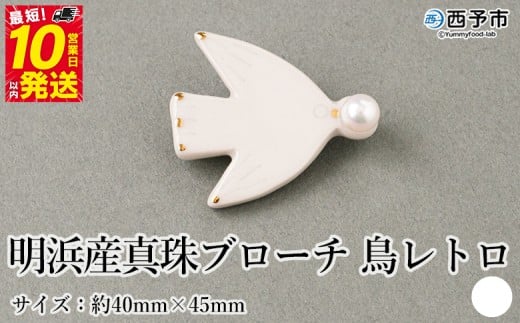 ۏ؏tlY ^u[` gij 8.0`8.5mm Y i AR^ FaC p[ ANZT[  t@bV fB[X   a LO ^ cosmic 