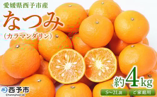 <愛媛県西予市産 なつみ(カラマンダリン)ご家庭用 約4kg> 訳あり 不揃い 果物 くだもの フルーツ みかん ミカン 蜜柑 柑橘 オレンジ おれんじ ナツミ 食べて応援 特産品 宇都宮物産 愛媛