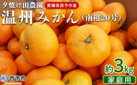 先行予約 <夕焼け山農園 愛媛県西予市産 温州みかん 家庭用 約3kg(南柑20号)>果物 フルーツ ミカン 蜜柑 柑橘 なんかん 訳あり うんしゅうみかん ウンシュウ 特産品 愛媛県 西予市 【常