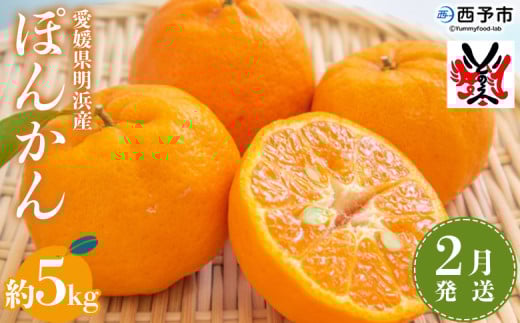 <愛媛明浜産 ぽんかん 約5kg 2月発送> 果物 フルーツ みかん ミカン 蜜柑 柑橘 ポンカン 生産量全国1位 おいしい 特産品 渡江から一歩を踏み出す会 愛媛県 西予市 【常温】愛媛県西予市10000