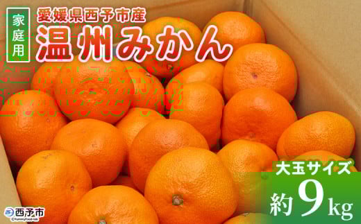 <愛媛県西予市産 温州みかん 大玉サイズ 家庭用 約9kg> 愛媛県産 西宇和 大玉 大きめ 家庭用 果物 フルーツ 柑橘 うんしゅうみかん ウンシュウミカン オレンジ ミカン 蜜柑 訳あり 小林果