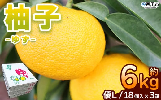 Mq D LTCY 54i18×3j 6kg 6000g 䂸 Y ʕ t[c ͔|  JAЂ Fa_Ƌg Q \sy퉷zw2025N10{`12{ɏ