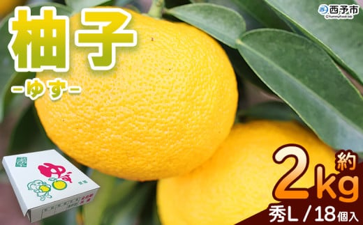 <柚子 秀 Lサイズ 18個> 約2kg 2000g ゆず 国産 果物 フルーツ 低樹高栽培 おいしい JAひがしうわ 東宇和農業協同組合 愛媛県 西予市【常温】『2025年10月下旬〜11月下旬迄に順次出荷予定』愛媛