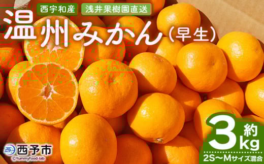 先行予約 <浅井果樹園 温州みかん 約3kg(早生)> 柑橘 果物 フルーツ ミカン 蜜柑 オレンジ うんしゅうみかん ウンシュウミカン ワセ 食べて応援 特産品 西宇和 愛媛県 西予市 【常温】愛