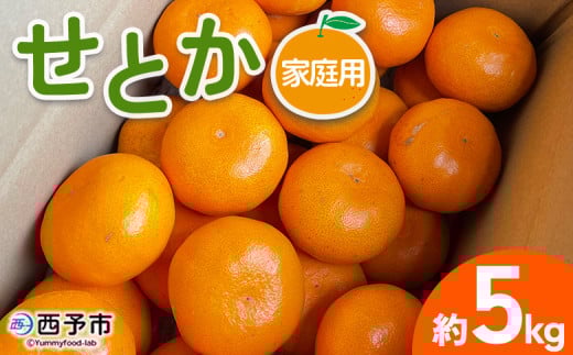 <せとか 家庭用 約5kg> 訳あり わけあり 自宅用 果物 フルーツ みかん ミカン 蜜柑 オレンジ 柑橘 セトカ ジューシー サイズ不揃い 食べて応援 特産品 柑橘園柴田 愛媛県 西予市【常温】『2