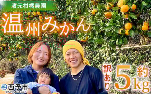 <明浜産 温州みかん 約5kg 訳あり> 愛媛みかん 農家直送 家庭用 自宅用 ワケアリ 果物 フルーツ 柑橘 ミカン 蜜柑 S〜L 濱元柑橘農園 西予市【常温】『2025年11月下旬から12月中旬までに順次