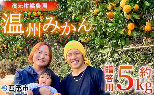 <明浜産 温州みかん 約5kg 贈答用> 愛媛みかん 農家直送 果物 フルーツ 柑橘 ミカン 蜜柑 S〜Lサイズ 贈答 国産 濱元柑橘農園 愛媛県 西予市【常温】『2025年11月下旬から12月中旬までに順次