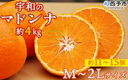 紅まどんなと同品種!<愛媛県西予市産 宇和のマドンナ 約4kg(M寸〜2L 約11〜15個)> 果物 柑橘 みかん ミカン 蜜柑 愛媛果試第28号 紅マドンナ 化粧箱 贈答用 ギフト 南予園芸 愛媛県 西予