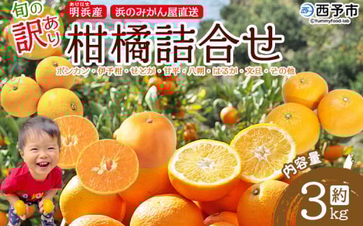 <旬の訳あり柑橘詰め合わせ 約3kg> みかん ミカン 家庭用 果物 フルーツ おいしい 甘い オレンジ 柑橘類 ご自宅用 おまかせ 特産品 あけはま 明浜産 浜のみかん屋 愛媛県 西予市【常温】愛