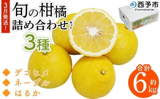 <3月発送!旬の柑橘 詰め合わせセット 3種×各2kg> 果物 フルーツ みかん ミカン 蜜柑 柑橘 オレンジ ブラッドオレンジ なつみ はるか ネーブル ポンカン 甘夏 特産品 宇都宮物産 愛媛県 西