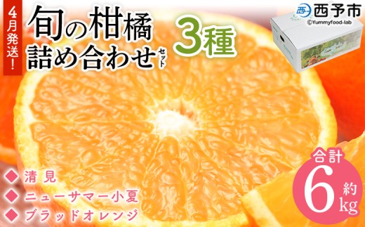 <4月発送!旬の柑橘 詰め合わせセット 3種×各2kg> 果物 フルーツ みかん ミカン 蜜柑 柑橘 オレンジ ブラッドオレンジ なつみ はるか ネーブル ポンカン 甘夏 特産品 宇都宮物産 愛媛県 西