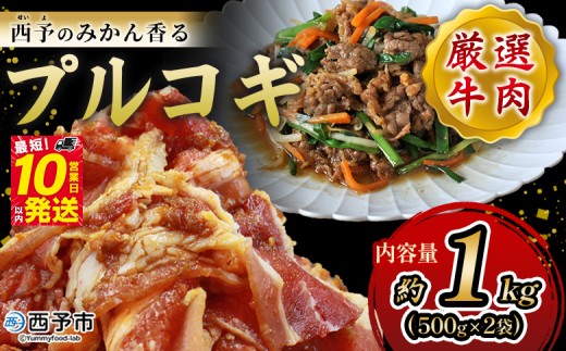 <西予のみかん香るプルコギ 合計 約1kg(500g×2)> みかん風味 韓国 牛肉 お肉 味付け 焼肉 タレ漬け タレ レシピ プルコギ丼 献立 アレンジ 味付け 子供 惣菜 おかず グルメ 愛媛県 西予市