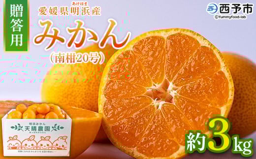 <みかん(南柑20号)贈答用 約3kg> 果物 くだもの フルーツ ミカン 柑橘 なんかん20ごう ナンカン20ゴウ 温州みかん うんしゅうみかん 贈答 ギフト プレゼント 特産品 株式会社笑丸 愛媛県