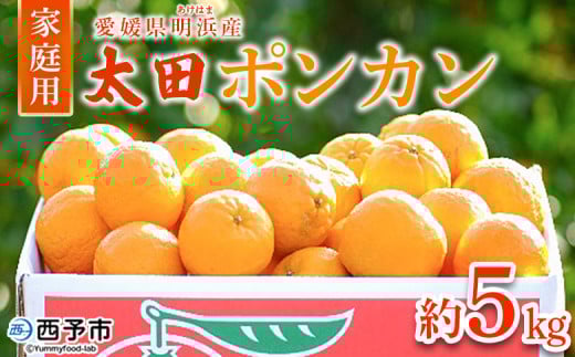 <太田ポンカン 家庭用 約5kg> 果物 くだもの フルーツ みかん ミカン 柑橘 太田ぽんかん おおたぽんかん オオタポンカン ぽんかん 訳あり ご自宅用 特産品 株式会社笑丸 愛媛県 西予市【常