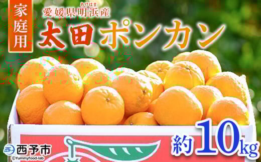 <太田ポンカン 家庭用 約10kg> 果物 くだもの フルーツ みかん ミカン 柑橘 太田ぽんかん おおたぽんかん オオタポンカン ぽんかん 訳あり ご自宅用 特産品 株式会社笑丸 愛媛県 西予市【
