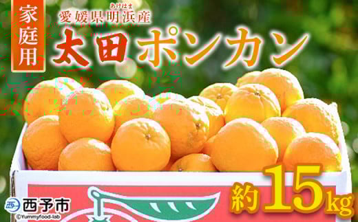 <太田ポンカン 家庭用 約15kg> 果物 くだもの フルーツ みかん ミカン 柑橘 太田ぽんかん おおたぽんかん オオタポンカン ぽんかん 訳あり ご自宅用 特産品 株式会社笑丸 愛媛県 西予市【