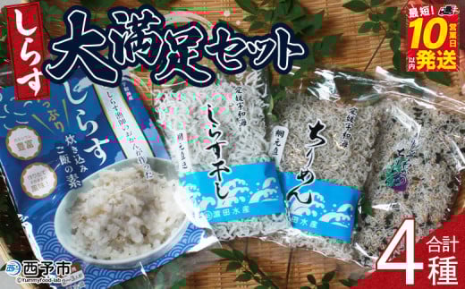 <しらす大満足セット 合計4種>炊き込み 西予市産 ちりめん しらす干し 食べ比べ 健康 カルシウム 詰め合わせ チリメン シラス 魚介 海産物 海鮮 家庭用 贈答用 小分け 国産 特産品 産地直
