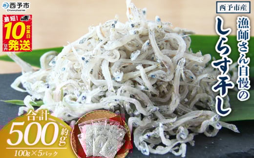 <漁師さん自慢のしらす干し 合計500g(1パック100g入り)> シラス 魚介類 さかな 海産物 海鮮 海の幸 小分け 国産 ご飯のお供 丼 おつまみ 晩酌 おかず おやつ 特産品 産地直送 濱田水産 愛