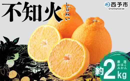 <おはこやがつくる おはこデコ(不知火)約2kg(L〜3Lサイズ)> 果物 くだもの フルーツ 柑橘 蜜柑 ミカン しらぬい シラヌイ みかん 特産品 西宇和 愛媛県 西予市【常温】愛媛県西予市5000