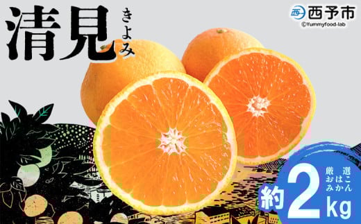 <おはこやがつくる 清見 約2kg(L〜3Lサイズ)> 果物 フルーツ 柑橘 清見タンゴール みかん 特産品 西宇和 愛媛県 西予市 【常温】愛媛県西予市5000果物・フルーツみかん・柑橘類