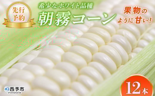 【先行予約】<朝霧(あさぎり)コーン 12本> 国産 雪の妖精 ホワイトコーン 白い 白 とうもろこし 幻のとうもろこし 生で食べられる 甘い 糖度が高い 朝霧コーン 野菜 株式会社ノムラン