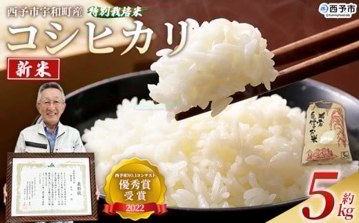 <新米 令和7年産 西予市宇和町産 特別栽培米 コシヒカリ 約5kg> お米 コメ こめ 白米 精米 ご飯 穀物 こしひかり 西予米NO.1コンテスト 優秀賞 特産品 愛媛県産 西予市産 時谷ファーム 愛媛