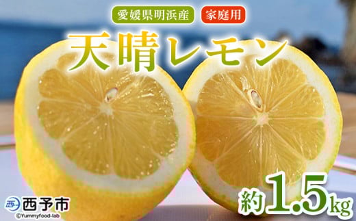 <天晴レモン ご家庭用 約1.5kg> フルーツ 果物 くだもの レモン れもん 檸檬 柑橘 訳あり わけあり ワケアリ 自宅用 料理 国産 国産レモン 愛媛県産 特産品 株式会社笑丸 愛媛県 西予市【常