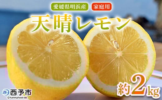 V ƒp 2kg t[c ʕ    EG k 󂠂 킯 PA p  Y Y QY Yi ЏΊ Q \sy퉷