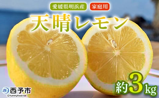 <天晴レモン ご家庭用 約3kg> フルーツ 果物 くだもの レモン れもん 檸檬 柑橘 訳あり わけあり ワケアリ 自宅用 料理 国産 国産レモン 愛媛県産 特産品 株式会社笑丸 愛媛県 西予市【常温