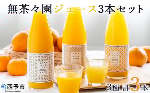X kW[X 3{Zbgi720ml×3j ʏ` 100% B݂ ʕ IW É |J sm Ђ傤 W[V[t[c ͓ӊ ɗ\  U Ƃ ÊC Mtg 