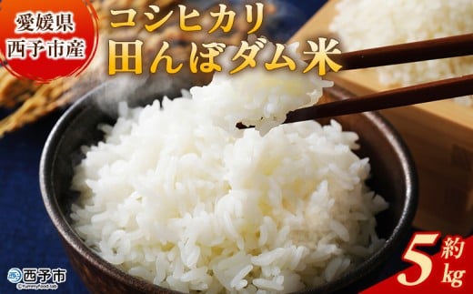 新米<令和7年産 愛媛県西予市産 コシヒカリ 田んぼダム米 5kg> 5キロ こしひかり 西予応援米 宇和米 お米 コメ こめ 白米 精米 米 国産 愛媛県産 宇和町産 和みファーム 愛媛県 西予市【常