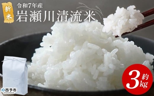 <令和7年産 新米 岩瀬川清流米 コシヒカリ 3kg> 3キロ こしひかり お米 コメ こめ 白米 精米 ご飯 穀物 鮮度 特産品 愛媛県産 西予市産 宇和町産 OTSUKAFARM 愛媛県 西予市 【常温】『2025年9月下