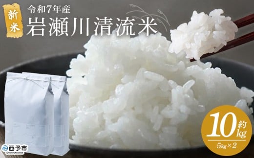 <令和7年産 新米 岩瀬川清流米 コシヒカリ 10kg> 10キロ こしひかり お米 コメ こめ 白米 精米 ご飯 穀物 鮮度 特産品 愛媛県産 西予市産 宇和町産 OTSUKAFARM 愛媛県 西予市 【常温】『2025年9月