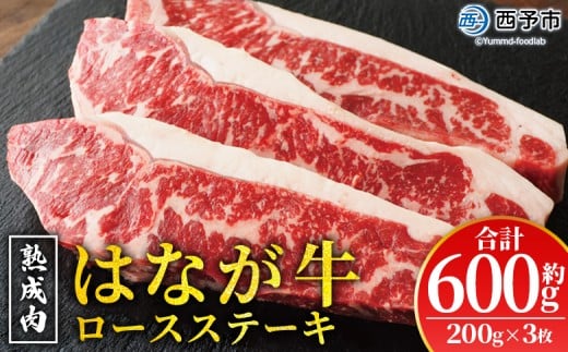 n ͂Ȃ [XXe[L 3i1200gj    Xe[L T[C uh SĂ Ă ē o[xL[ BBQ Y  Yi Q 䂤ڂ \syⓀz