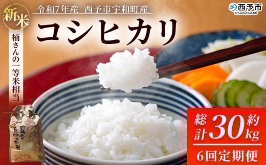 新米 <令和7年産 コシヒカリ 約5kg 6回定期便 西予市宇和町産> 白米 精米 楠さんの一等米相当 こしひかり お米 コメ こめ 米 ご飯 ごはん 定期便 穀物 ライス 愛媛県 西予市【常温】『2025年9