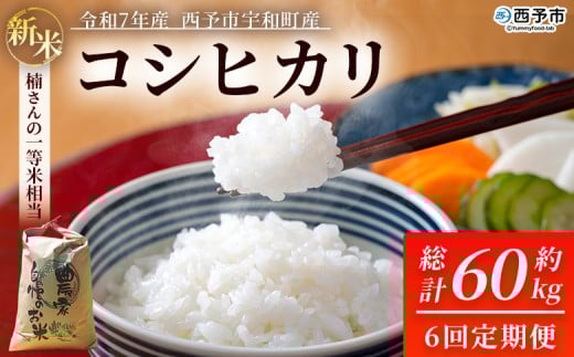 新米 <令和7年産 コシヒカリ 約10kg 6回定期便 西予市宇和町産> 白米 精米 楠さんの一等米相当 こしひかり お米 コメ こめ 米 ご飯 ごはん 定期便 穀物 ライス 愛媛県 西予市【常温】『2025年